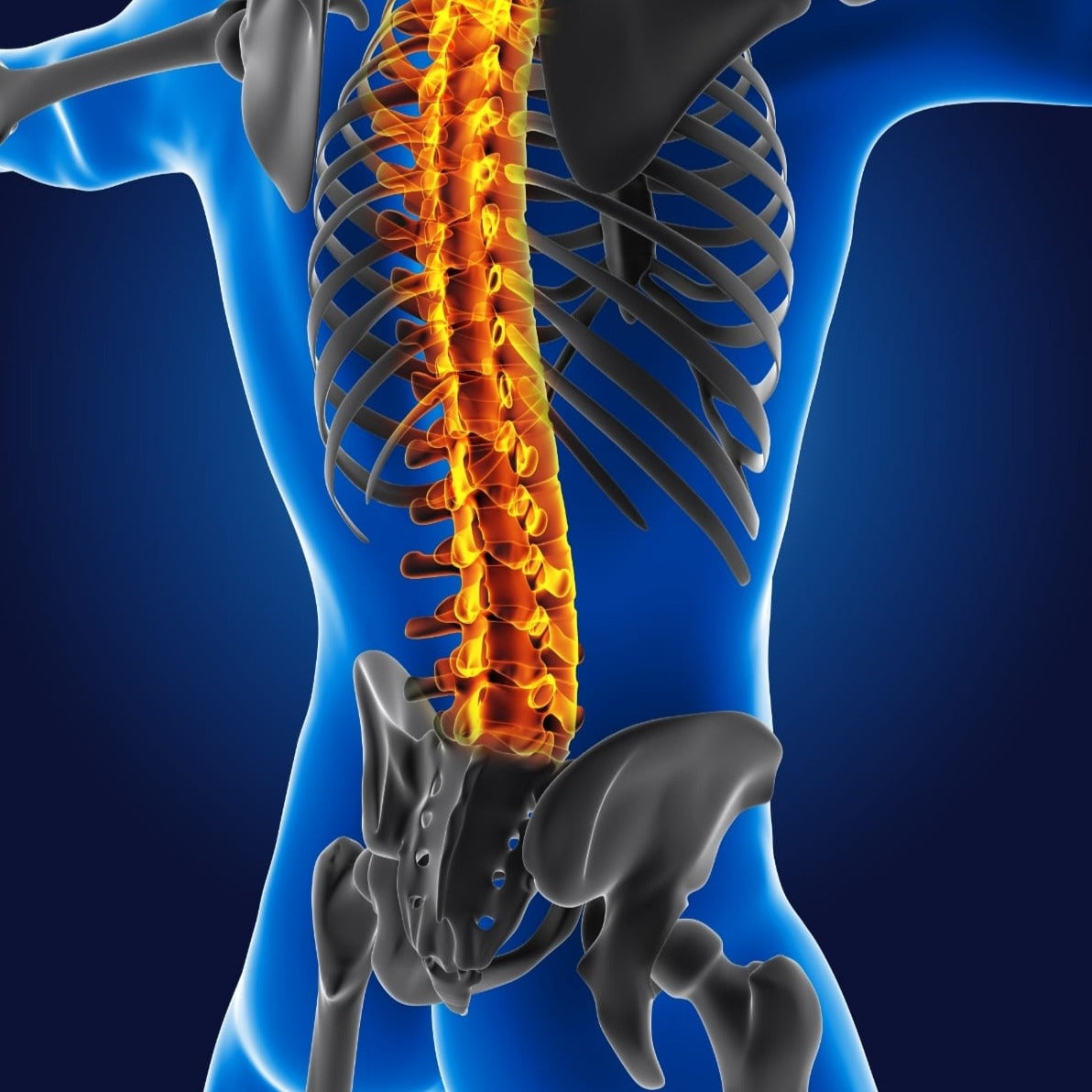 ABC's OF SPINE